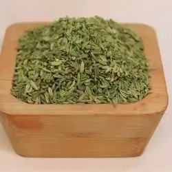 Fennel 