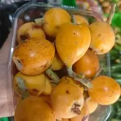 Loquat