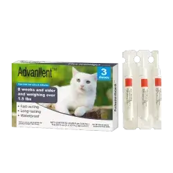 Flea and Tick Protection