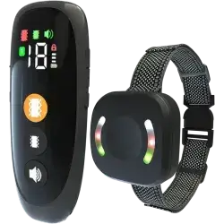 Dog Training Collar