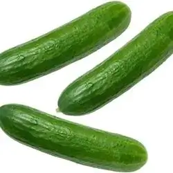 Cucumber