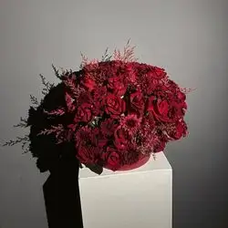 Box