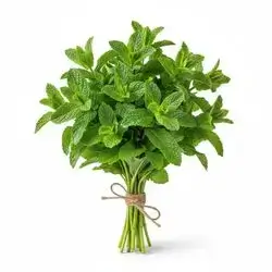 Mint
