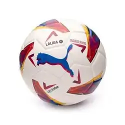 Fotball Laliga 2024