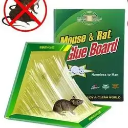 Mouse & Rat Glue Pitfall