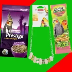 Offer 4