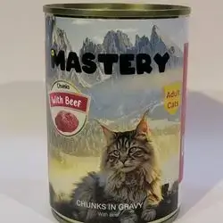 Mastery