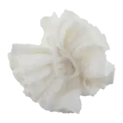 Bamboo Fiber Baby Bath Sponge 0M+ OPB-1116 _ Optimal