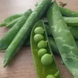 Wet Pea
