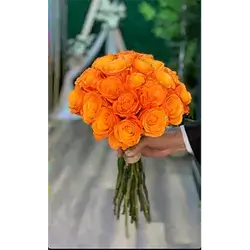 20 Rose Flower
