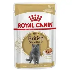 Royal Canin British short hair Adult Gravy 85g