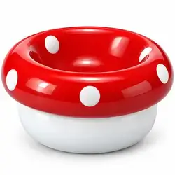 Ceramic Bowl