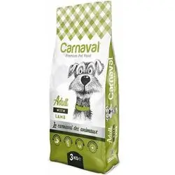 Carnaval Adult
