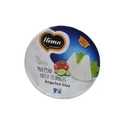 Hema Processed Cheese Triangles 8pcsx100g