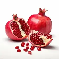 Egyptian Pomegranate