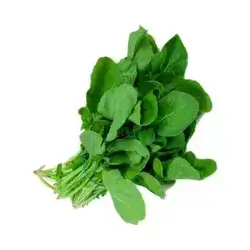 Arugula