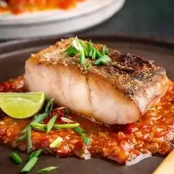 Salmon Meal
