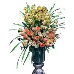 Cymbidium With Rose