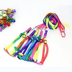 Colorful Pet Harness and Leash Sets
