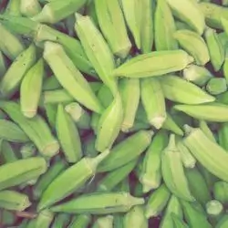 Okra