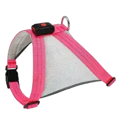 Harness LED L