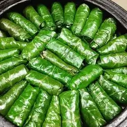 Diet Meat Dolma - 1 Person