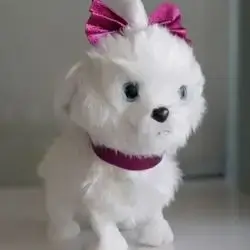 Puppy Toy