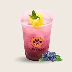 Blueberry Mojito
