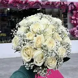 گوڵی بوک و دەرچوون