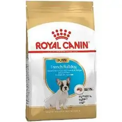 French Bulldog Puppy 3 Kg