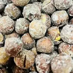 Hazelnut