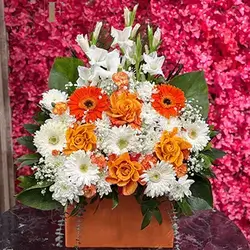 Flower Box