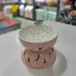 Floor Feeding Fruit Shaped Anti-Vomit Ceramic Pet Bowl