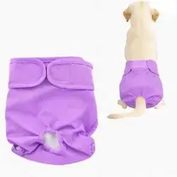 Dog Diaper M