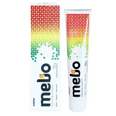 Mebo 0.25% Ointment 15 g