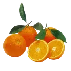 ِLocal orange
