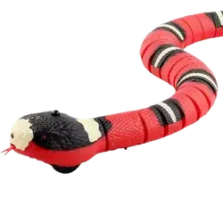 E806 Pet Toy- Teaser Snake