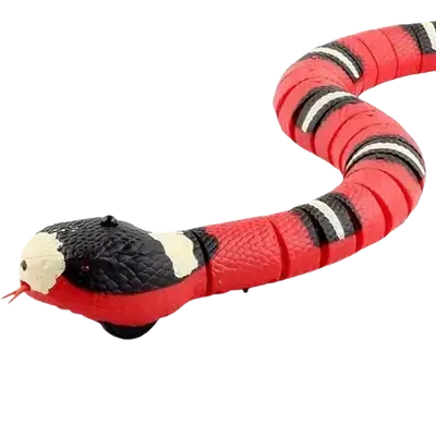 E806 Pet Toy- Teaser Snake
