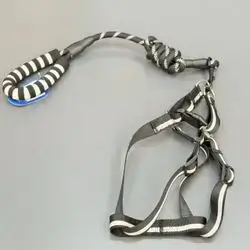 Dog Leash + Harness 