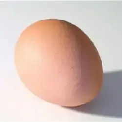 Local Egg Pcs