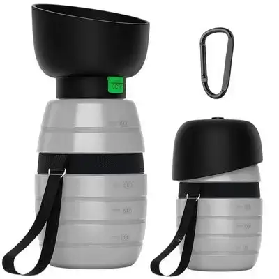 Water Bottle 650ml