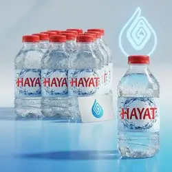 Hayat Water - 330 ml 1×12