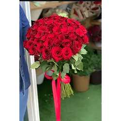 50 Rose