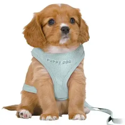 Trixie Puppy Soft Harness & Leash M-L