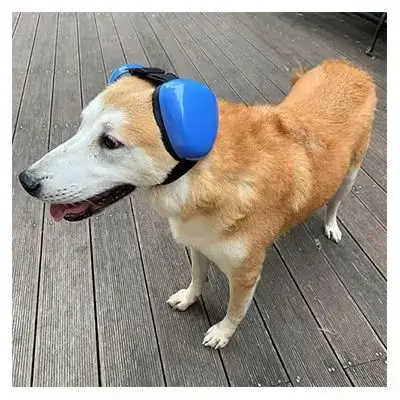 Hearing Protection