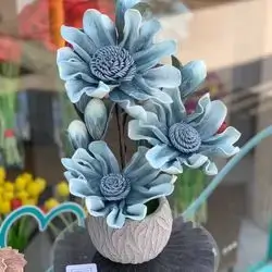 Flower With Vase