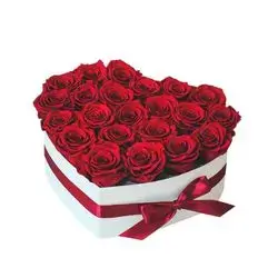 Flower Box