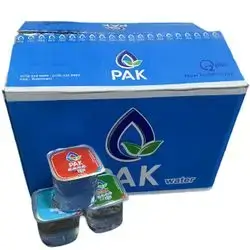 Pak Water Carton 200ml 1X60