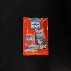 Wise cat