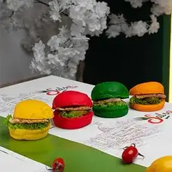 مینی بەرگری مریشک
